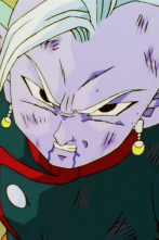 Imagen de Dragon Ball Z Kai (T2): Ep.1 ¡Han pasado 7 años! A partir de hoy, Gohan va al instituto - 1