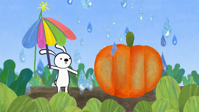 Imagen de No es una caja (T1): Es un huevo / Es una calabaza - 2