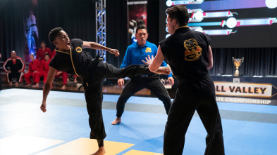 Imagen de Cobra Kai (T4): Ep.9 La caída - 2