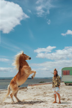 Imagen de Panda (T2): Ep.2  - 2