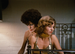Imagen de Las amargas lágrimas de Petra von Kant - 3