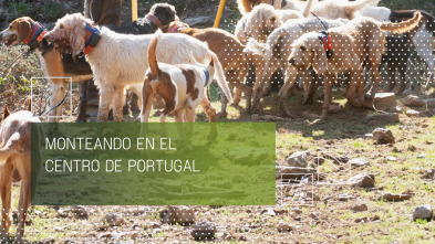 Imagen de Monteando en el centro de Portugal - 2