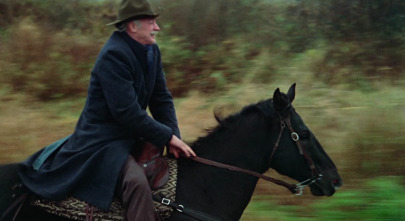 Imagen de El zorro gris - 4