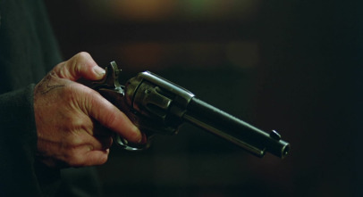 Imagen de El zorro gris - 7