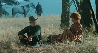 Imagen de El zorro gris - 10
