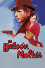 Imagen de El halcón maltés - 1