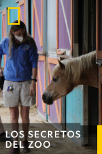 Imagen de Los Secretos Del Zoo  - 1