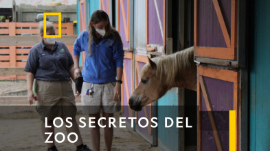 Imagen de Los Secretos Del Zoo  - 2