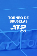 Imagen de Torneo de Bruselas - 2