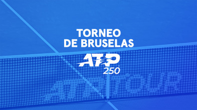Imagen de Torneo de Bruselas - 4