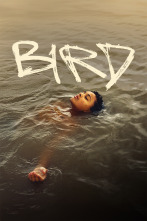 Imagen de Bird - 1