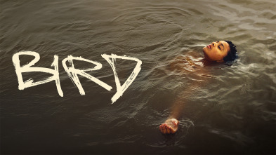 Imagen de Bird - 2
