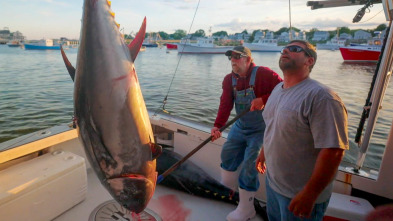 Imagen de Pesca con arpón: Atún rojo - 2