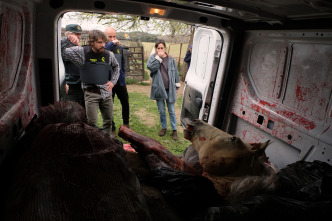 Imagen de La caza. Guadiana (T3): Ep.5 Al otro lado del rio - 3