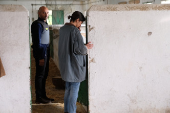 Imagen de La caza. Guadiana (T3): Ep.5 Al otro lado del rio - 5