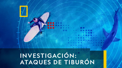 Imagen de Investigación: ataques de tiburón  - 7