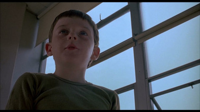 Imagen de El pequeño Tate - 6