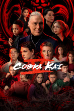 Imagen de Cobra Kai (T5) - 1