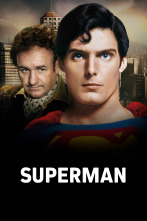 Imagen de Superman - 1