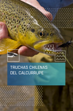 Imagen de Truchas chilenas del Calcurrupe - 1