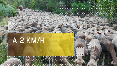 Imagen de A 2 km/h (T1) - 2