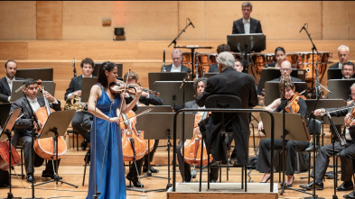 Imagen de Orchestra del Maggio Musicale Fiorentino Zubin Mehta: Beethoven - Ljubljana Festival - 2