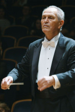 Imagen de Viktoria Mullova Transylvania State Philharmonic Orchestra Cristian Mandeal: Brahms - 1