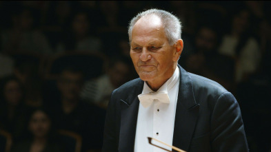 Imagen de Viktoria Mullova Transylvania State Philharmonic Orchestra Cristian Mandeal: Brahms - 2