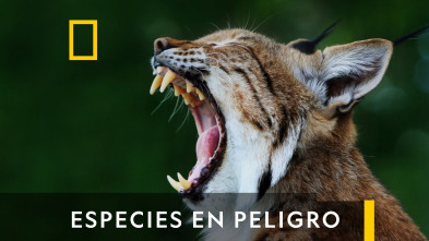 Imagen de Especies En Peligro  - 2