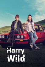 Imagen de Harry Wild (T3) - 1