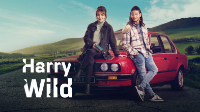 Imagen de Harry Wild (T3) - 2