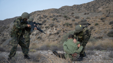 Imagen de Perejil  - 6