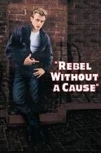 Imagen de Rebelde sin causa - 1