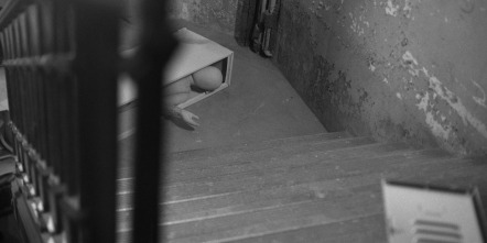 Imagen de Te harán un hombre - 12