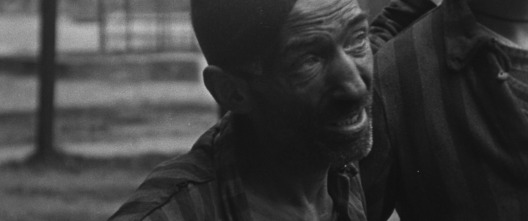 Imagen de Bergen-Belsen: Lo que encontraron - 5