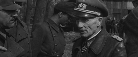 Imagen de Bergen-Belsen: Lo que encontraron - 6