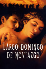 Imagen de Largo domingo de noviazgo - 1