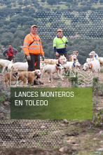 Imagen de Lances monteros en Toledo - 1