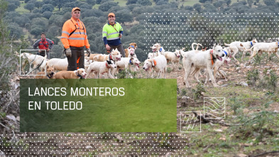 Imagen de Lances monteros en Toledo - 2