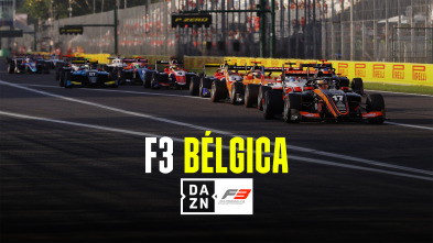 Imagen de Campeonato F3 de la FIA - Bélgica (2025) - 4