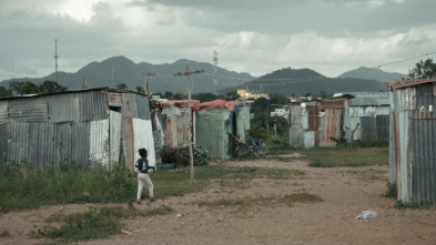 Imagen de La maldición del azúcar - 10