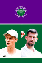 Imagen de Masculino: Sinner - Djokovic - 1