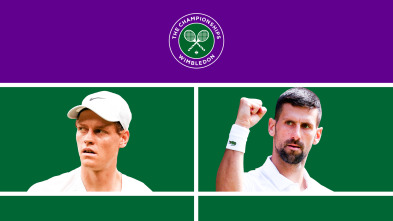 Imagen de Masculino: Sinner - Djokovic - 2