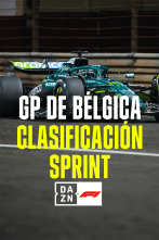 Imagen de Mundial F1 - GP... (2025): Clasificación Sprint - 1