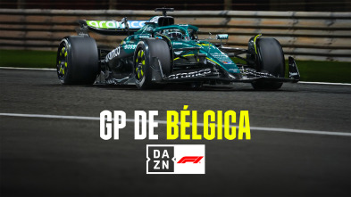 Imagen de Mundial F1 - GP... (2025): El Post de la Fórmula 1 - 2