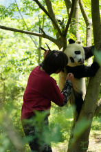 Imagen de Moon, mi amigo panda - 15