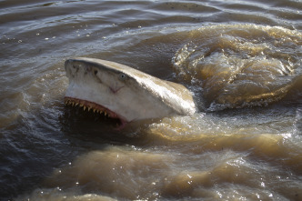 Imagen de Miedo en las profundidades - 9