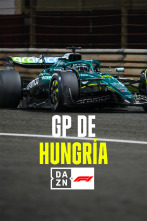 Imagen de Mundial F1 - GP de Hungría (2025) - 2