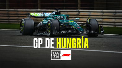 Imagen de Mundial F1 - GP de Hungría (2025) - 4