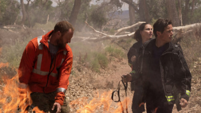 Imagen de Turno de Noche (T3): Ep.12 Emergente - 3